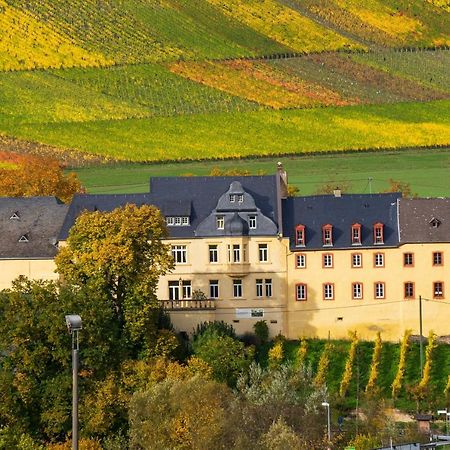 Appartement Wohnen Auf Dem Weingut - Klein Und Fein - Wengertssube à Maring-Noviand Extérieur photo