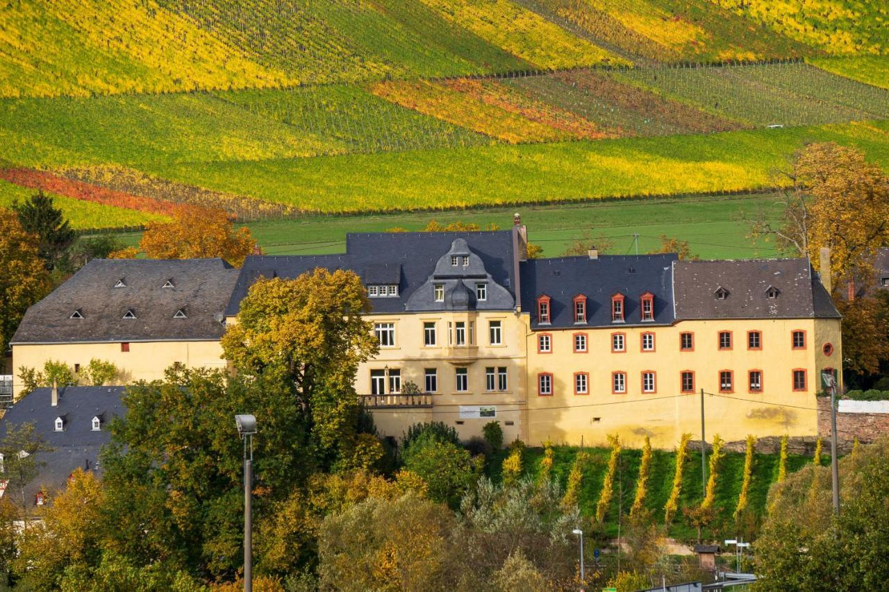 Appartement Wohnen Auf Dem Weingut - Klein Und Fein - Wengertssube à Maring-Noviand Extérieur photo